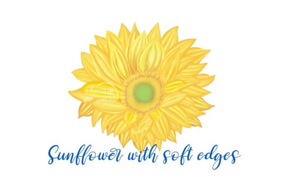 Download Sunflower with Soft Curves - Soft Collection